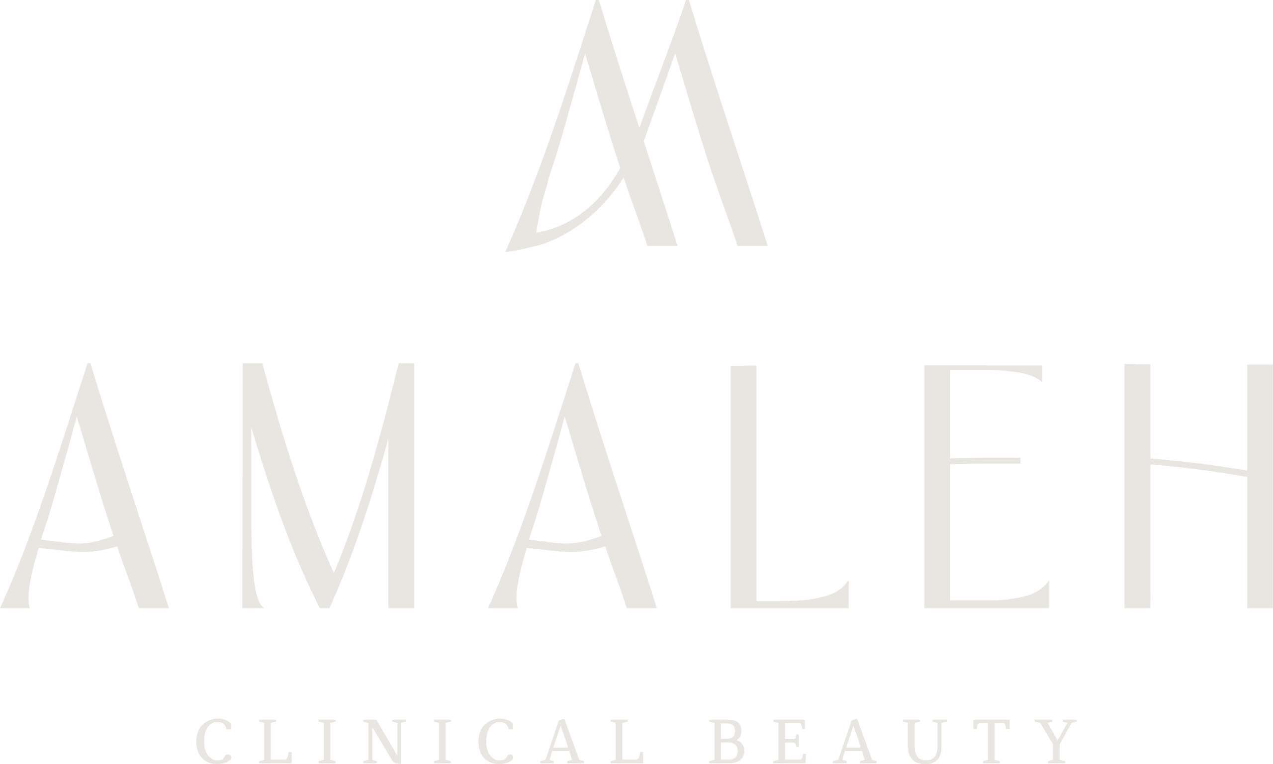 Copia de LOGO AMALEH.2